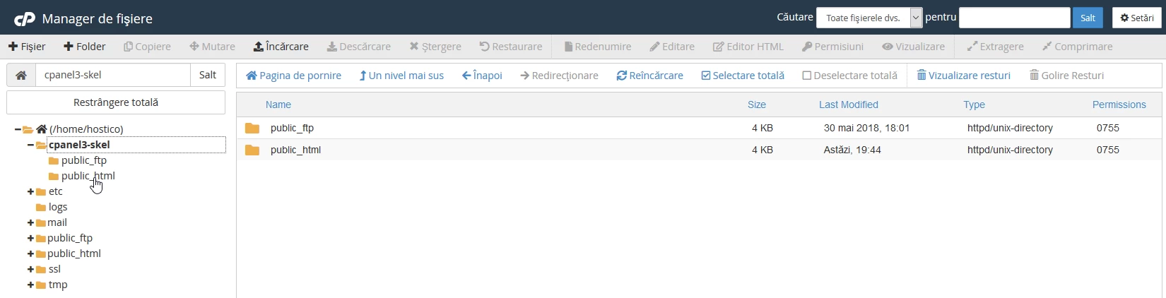 Accesare cpanel3-skel