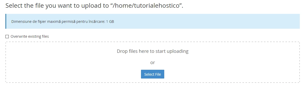 Incarcare arhiva in File Manager